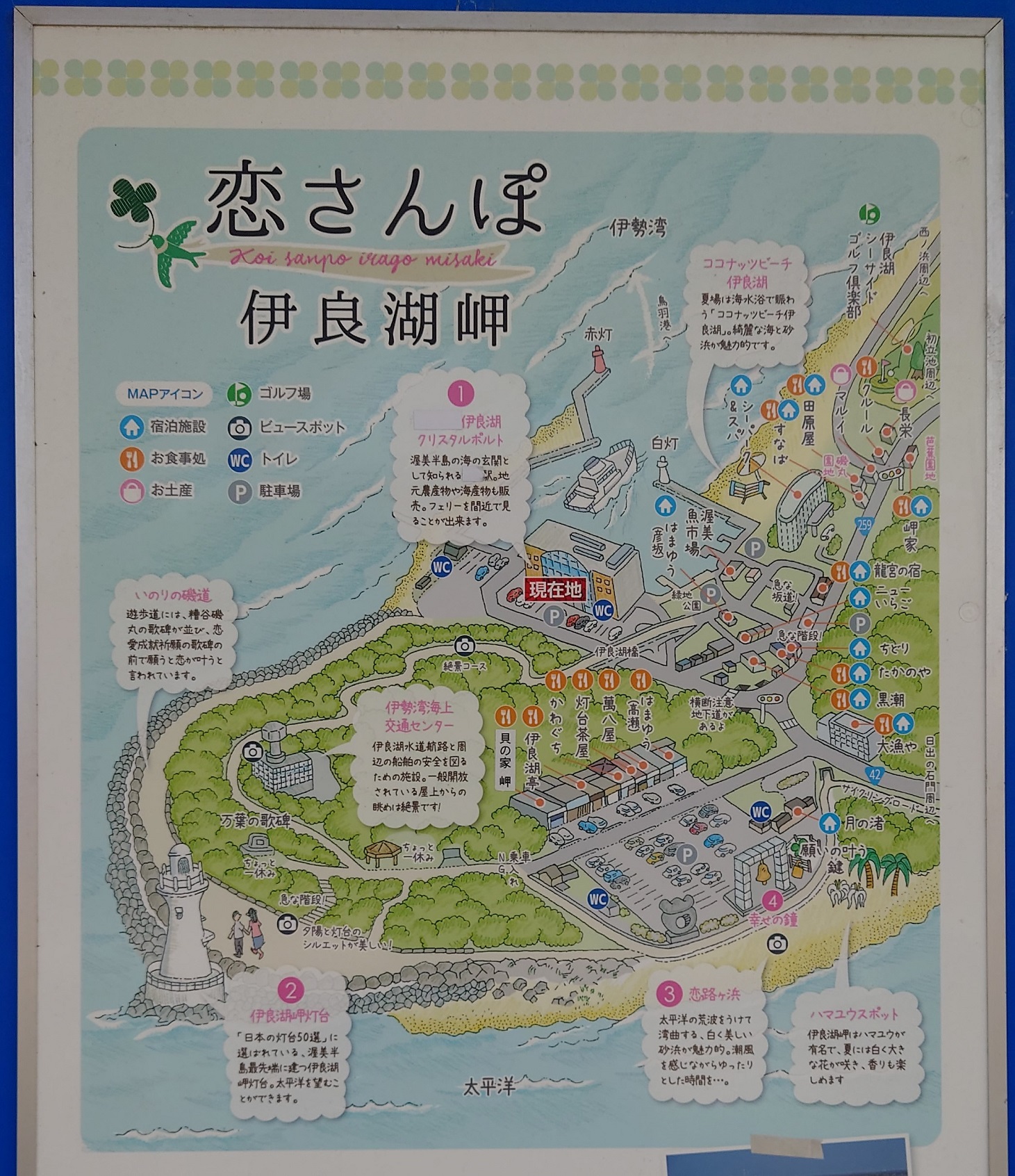 伊良湖岬灯台5