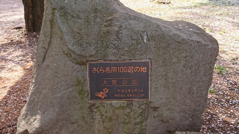 氷川神社17