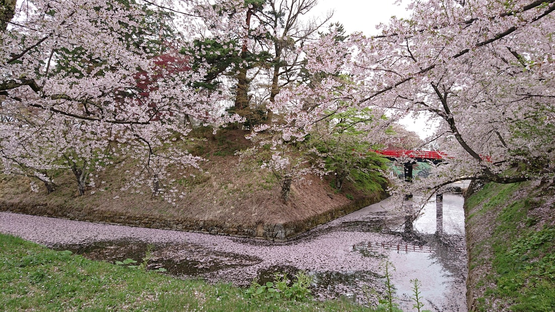 弘前公園13