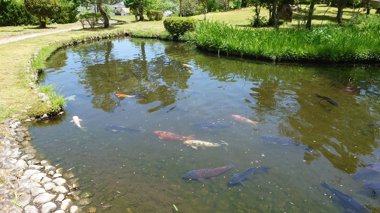 若狭瓜割名水公園8