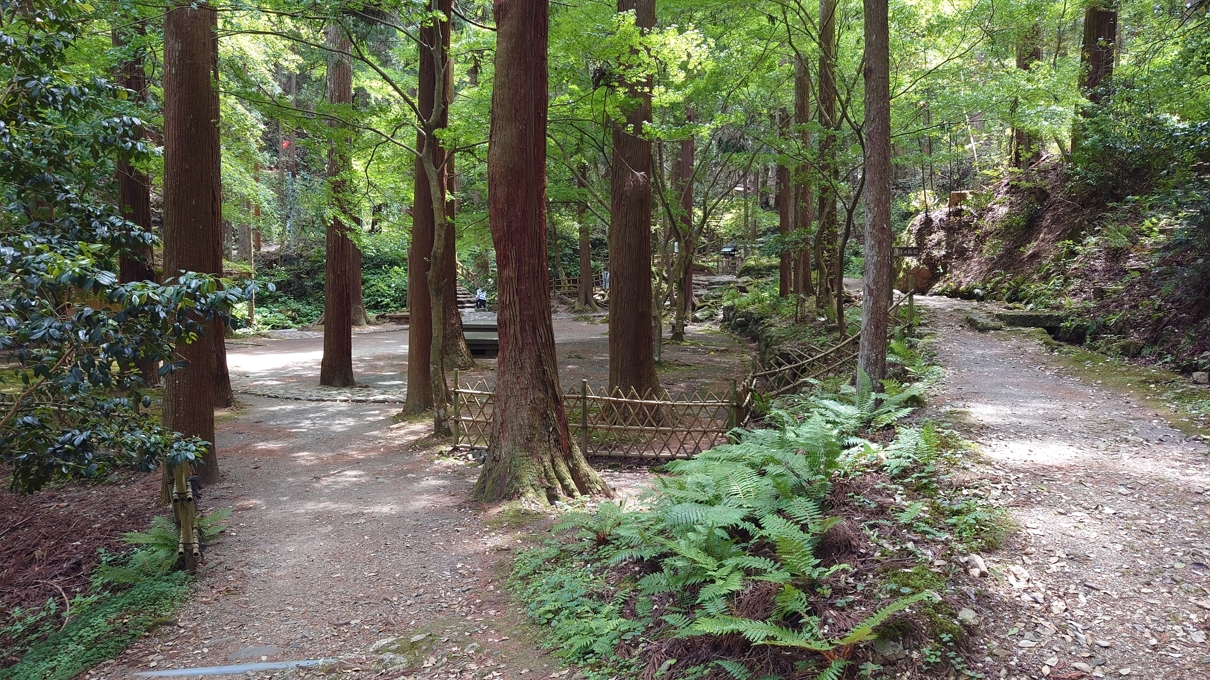 若狭瓜割名水公園22