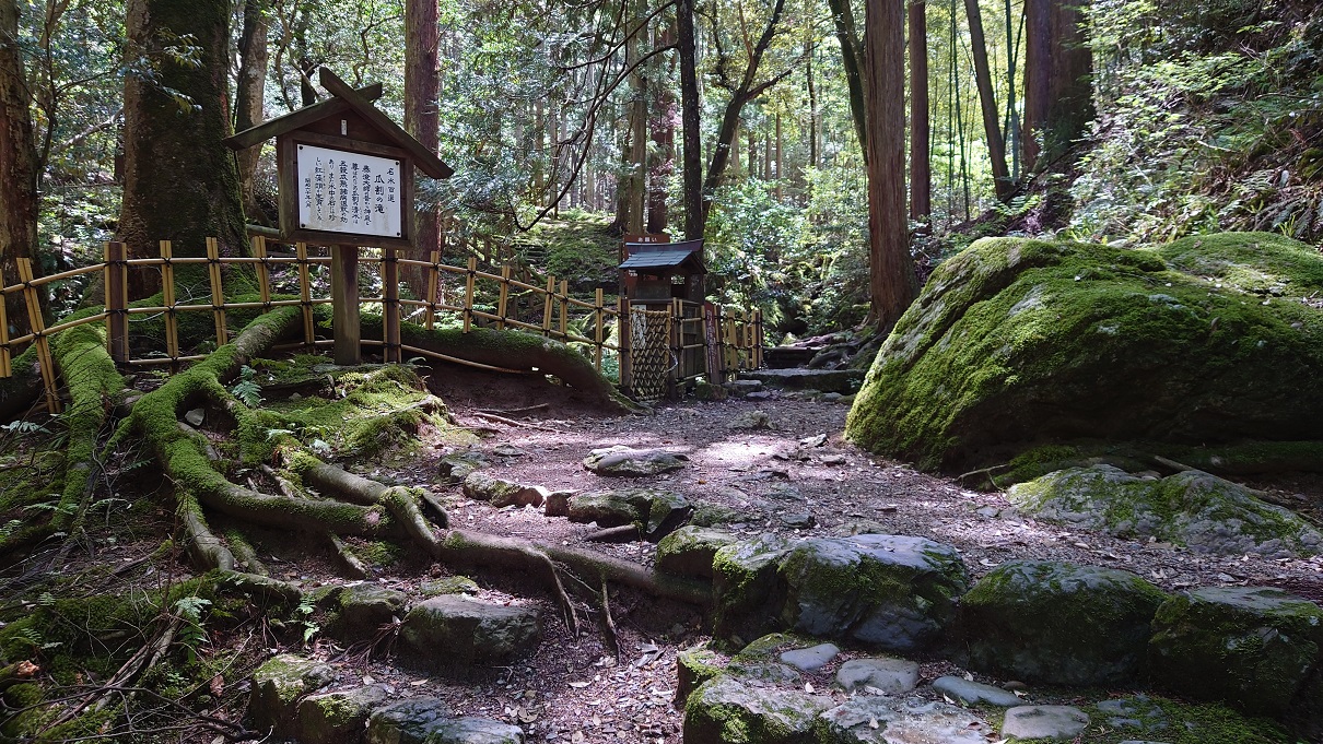 若狭瓜割名水公園25