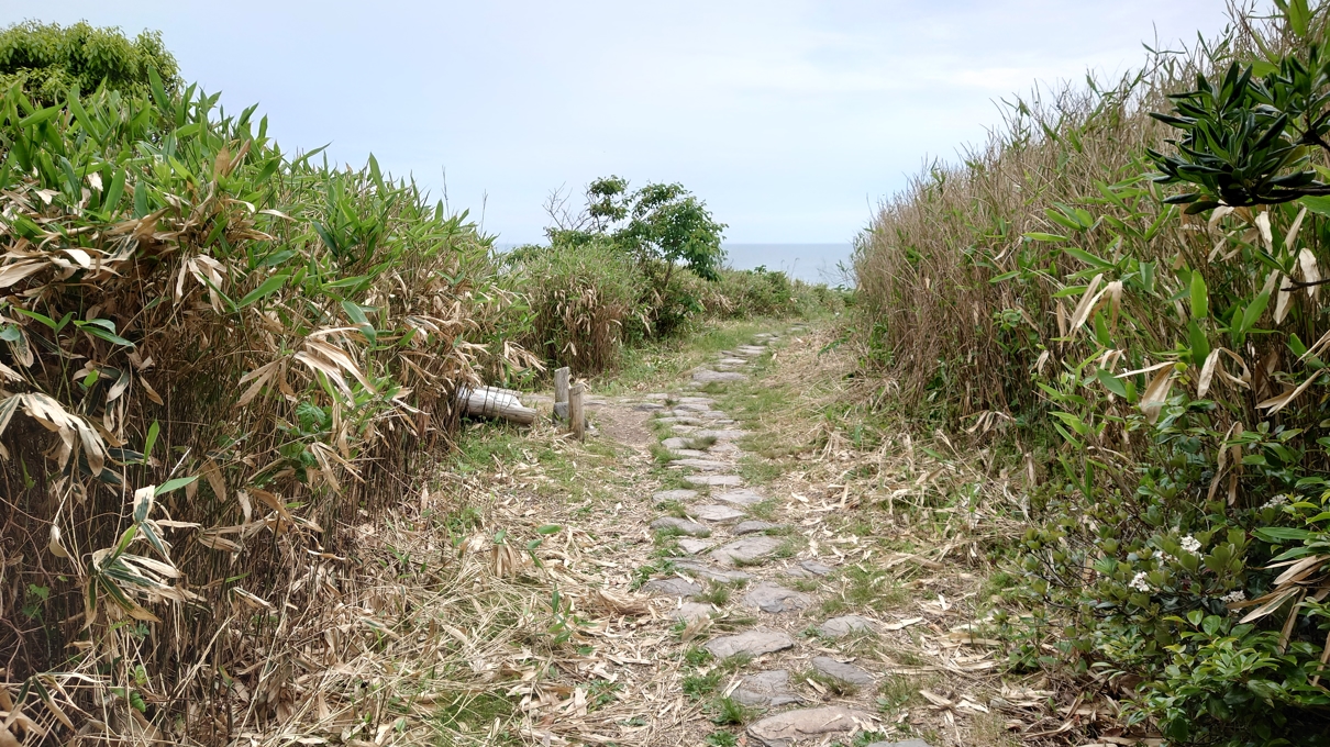 雄島22