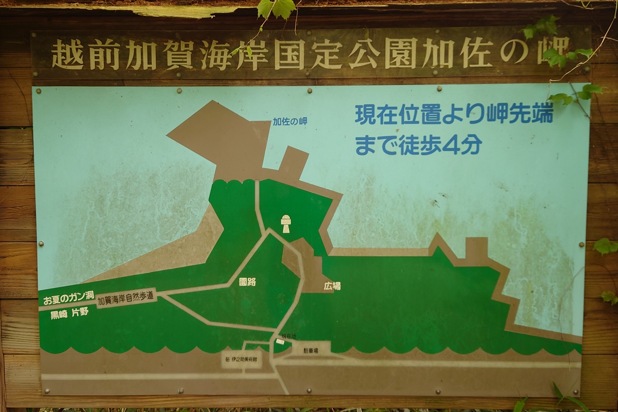 加佐の岬3