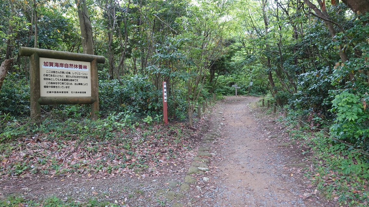 加佐の岬5