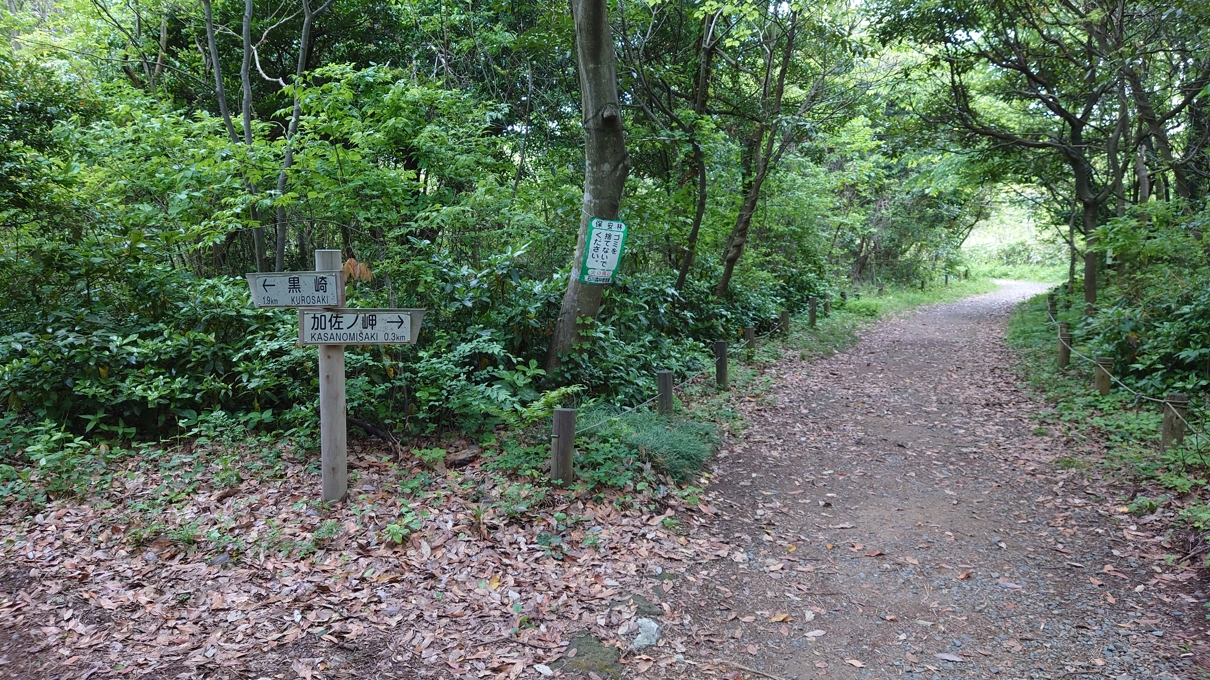 加佐の岬6