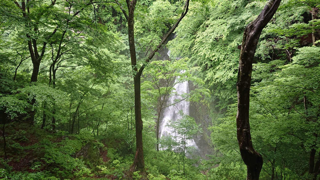 大滝自然公園18