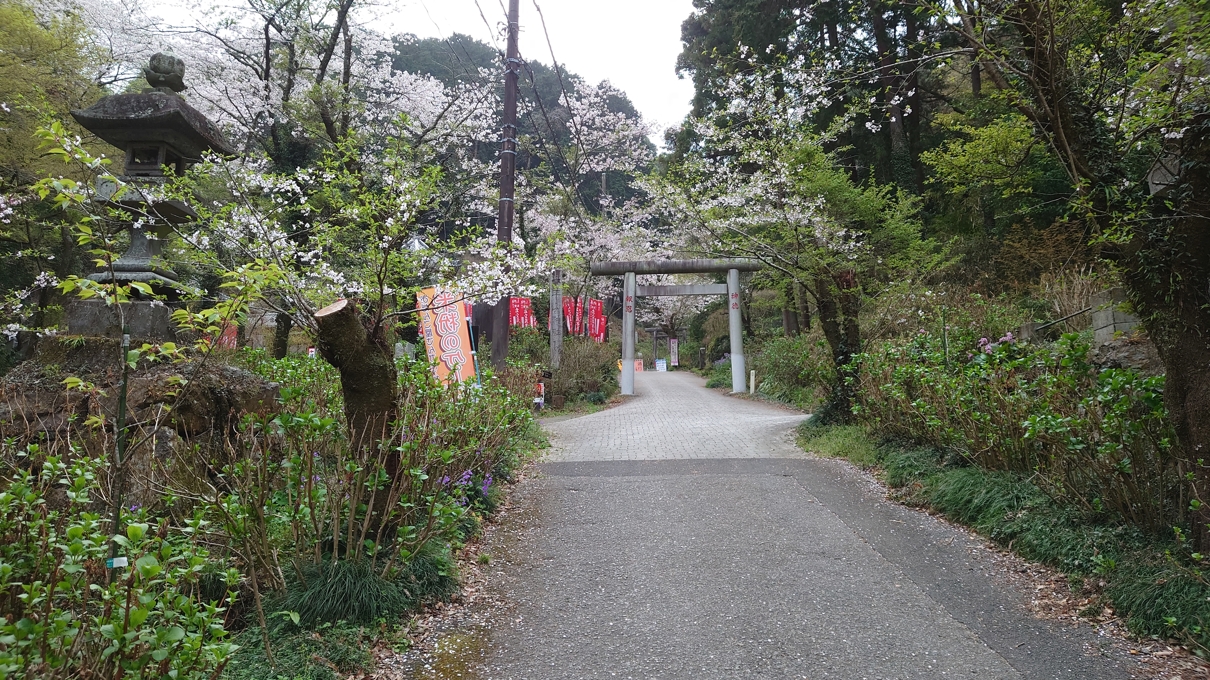 太平山神社5