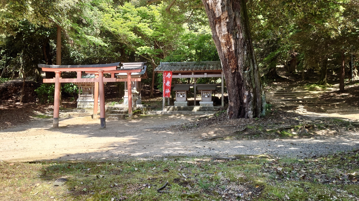 白鬚神社16