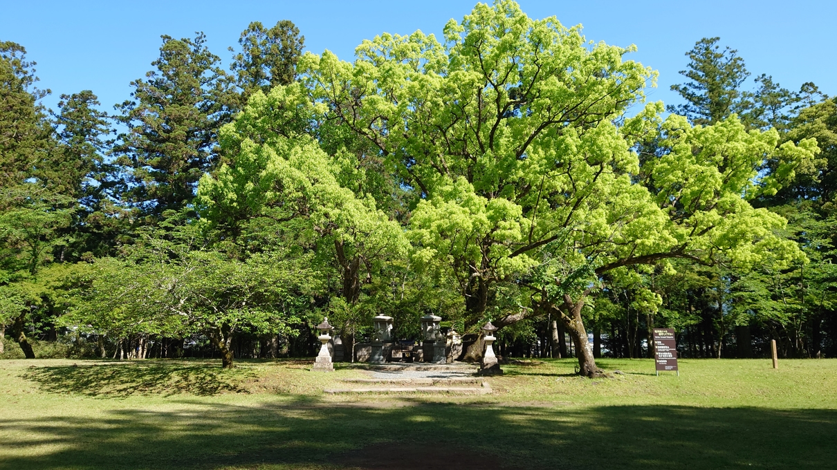 熊野本宮大社29