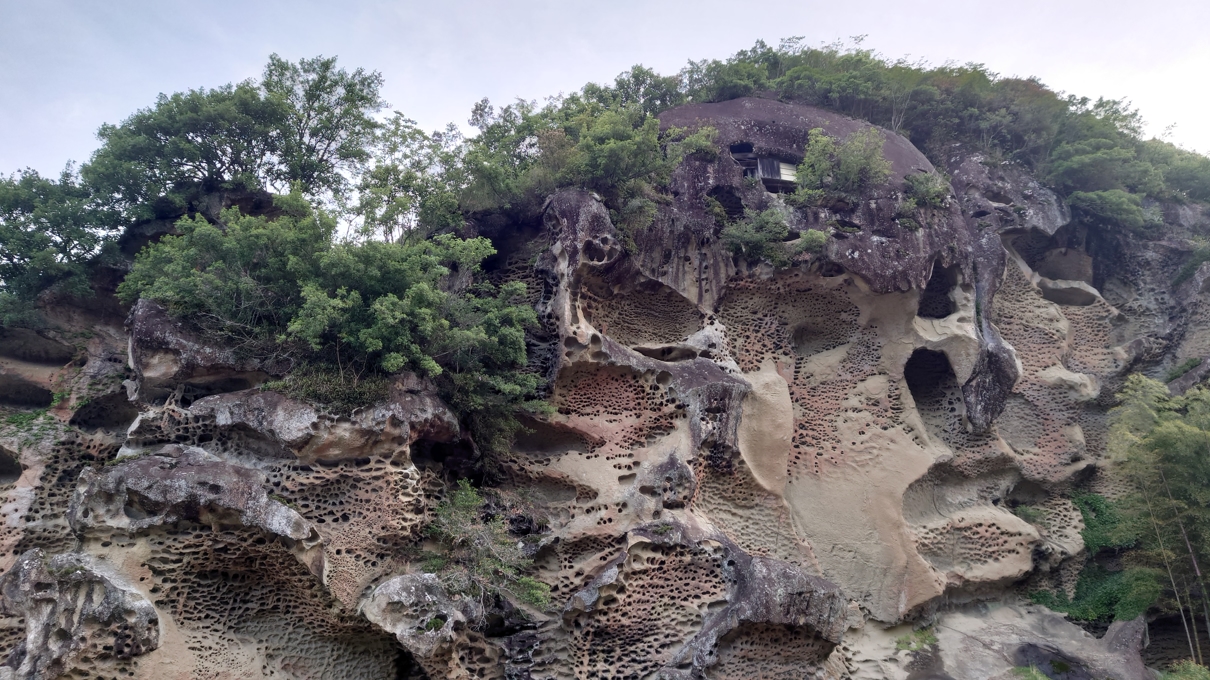 高池の虫食岩7