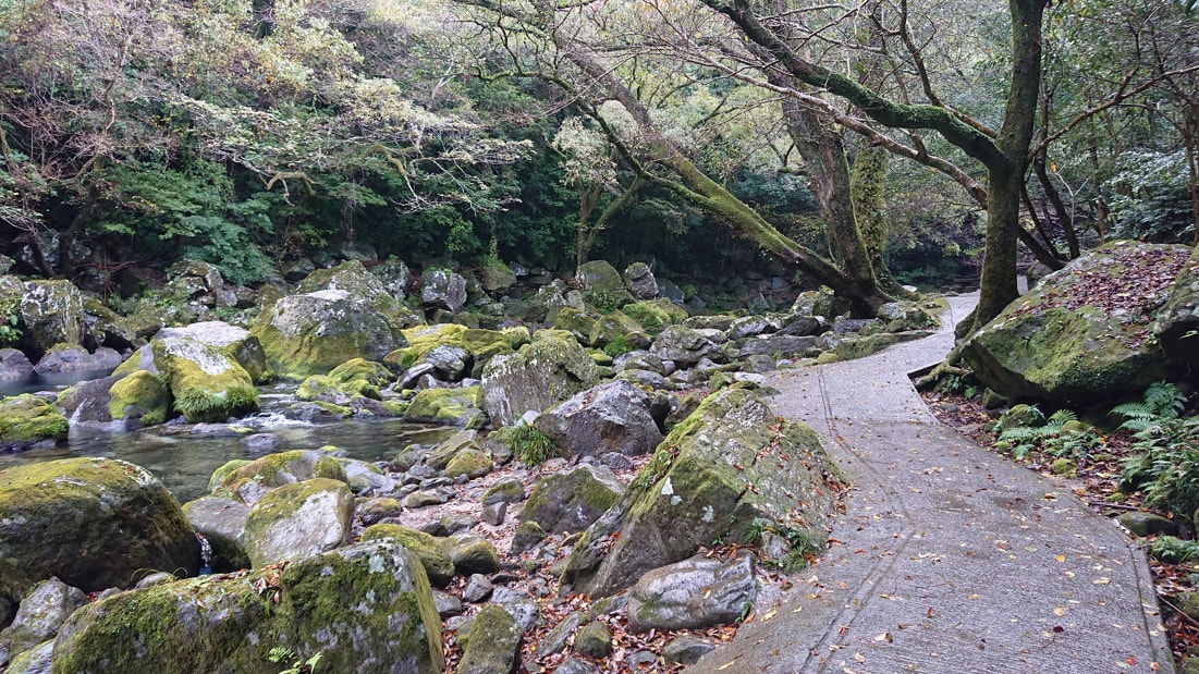 雄川の滝11