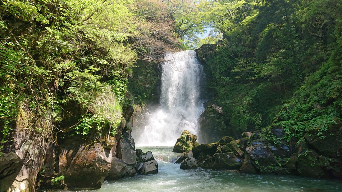 奈曽の白滝10