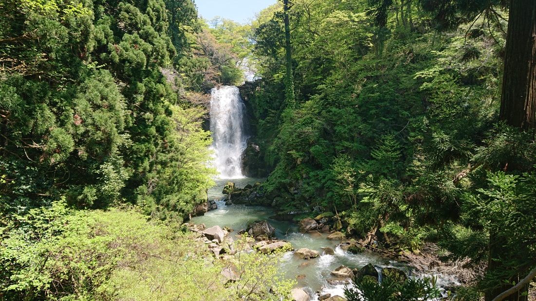 奈曽の白滝12